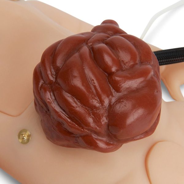 Simulador de reanimación neonatal Life/form® C.H.A.R.L.I.E. - Imagen 3
