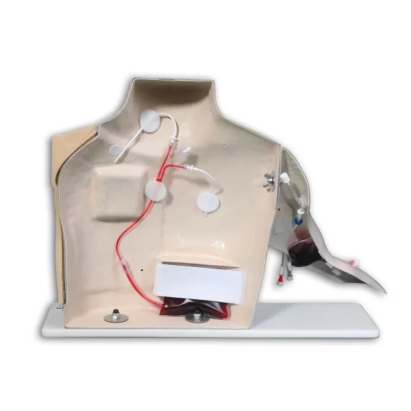 Torso VATA Chester™ con brazo de acceso a puertos - Piel clara - Imagen 6