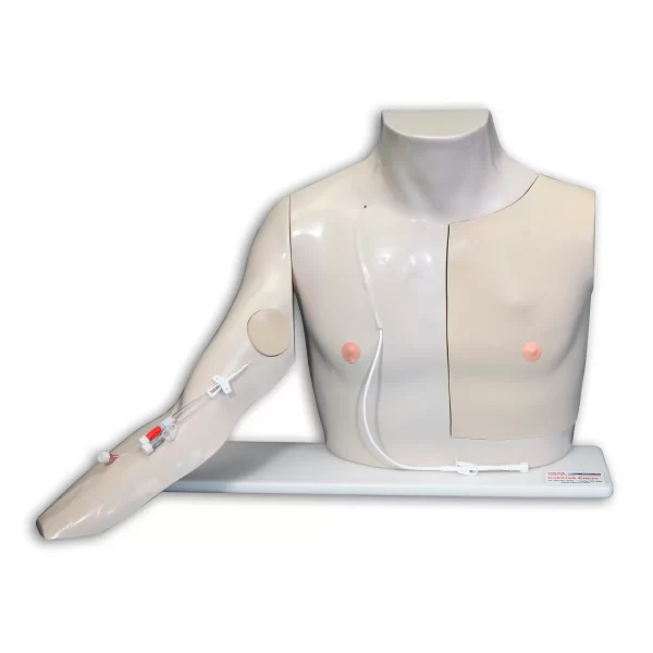 Torso VATA Chester™ con brazo de acceso a puertos - Piel clara - Imagen 5