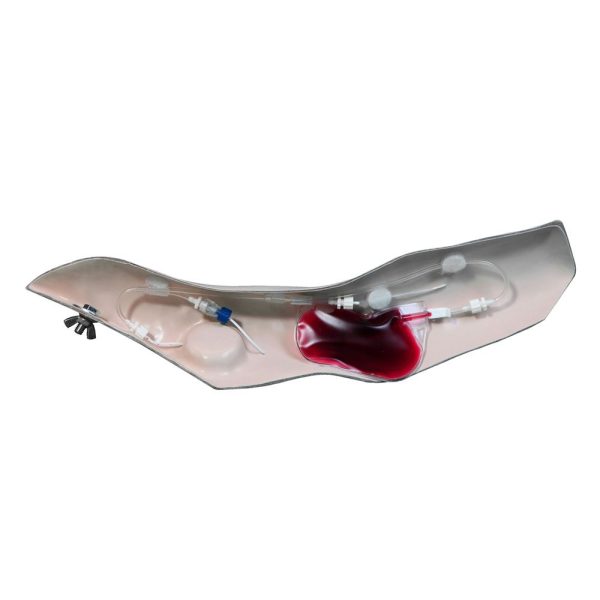 Torso VATA Chester™ con brazo de acceso a puertos - Piel clara - Imagen 7